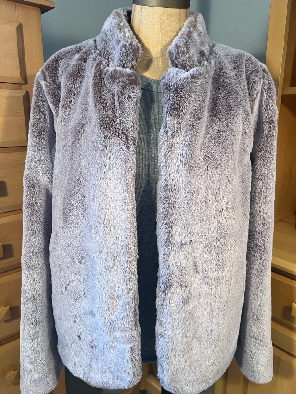 Democracy Plush Teddy Jacket in Light Lavender